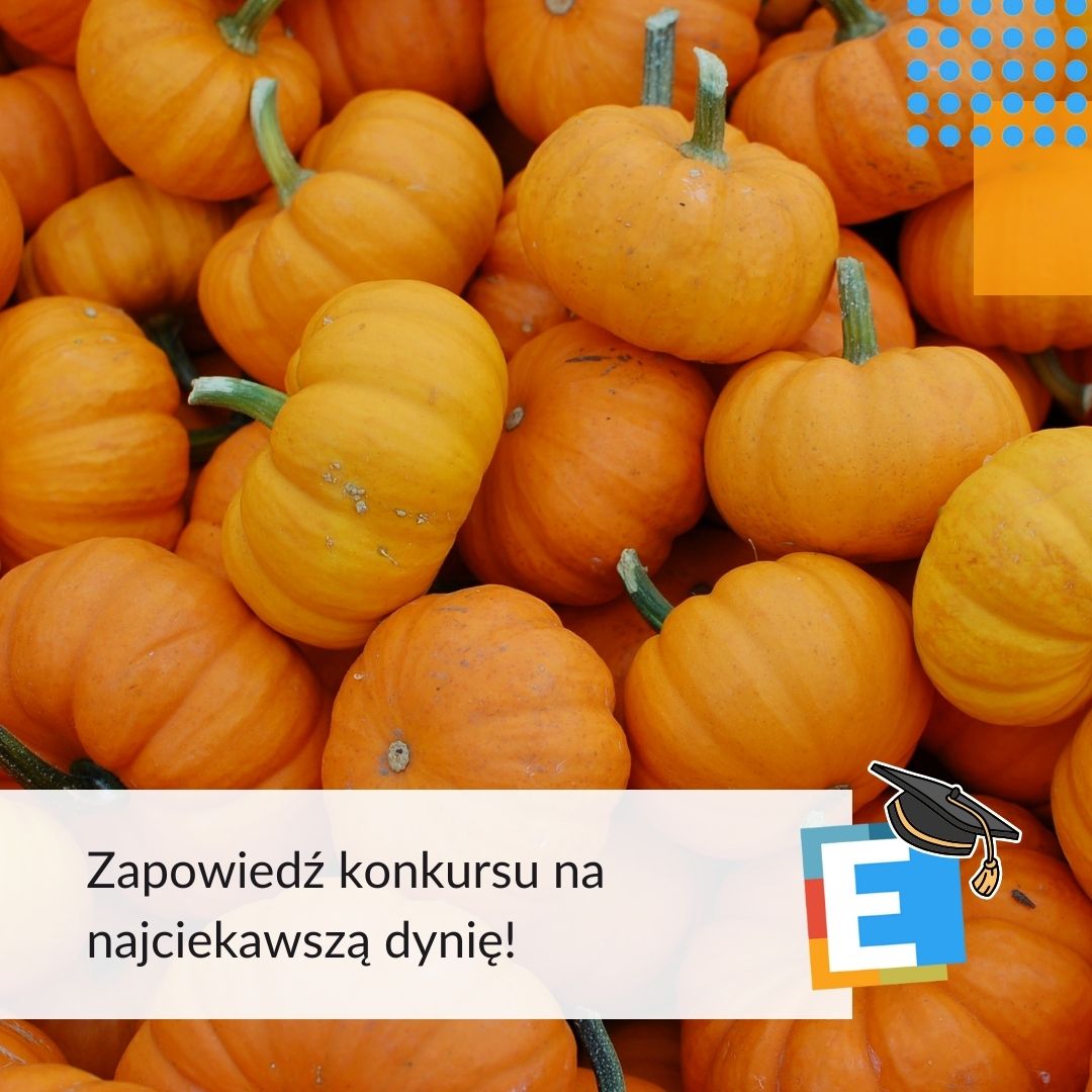 Konkurs na najpiękniejszą dynię